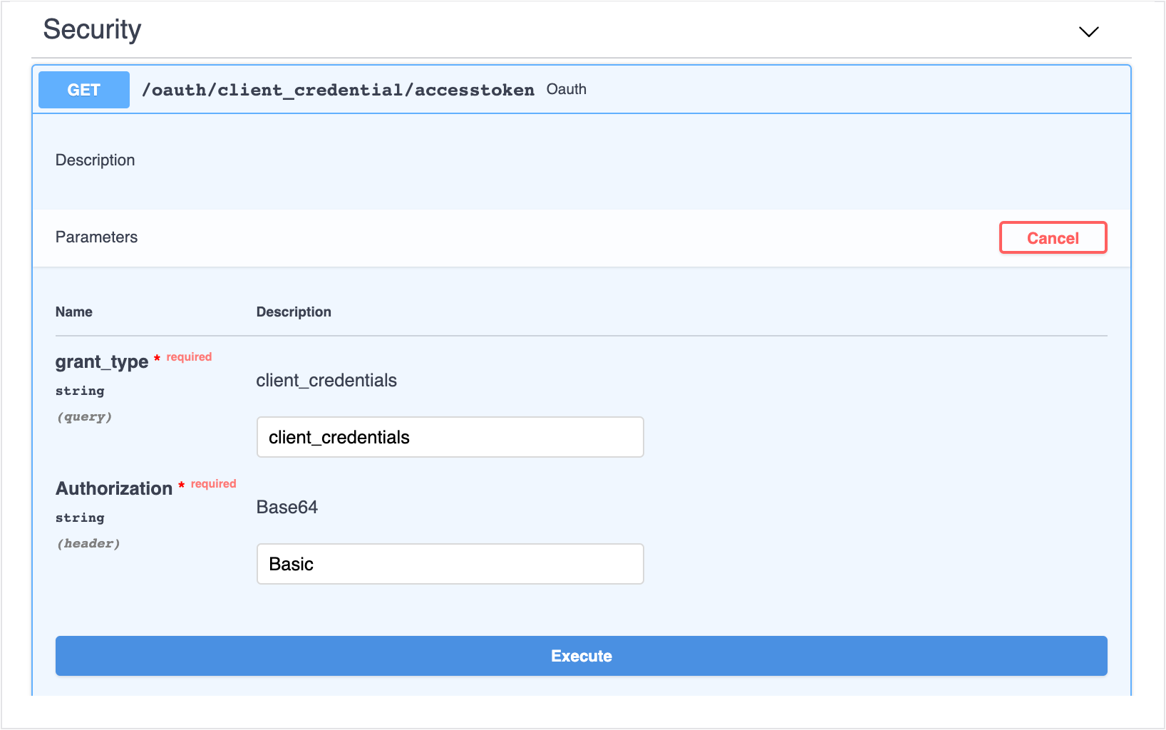 Security Access Token